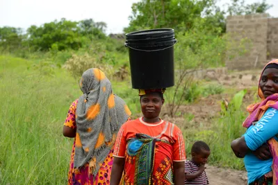 DSC_9597 (Large).JPG